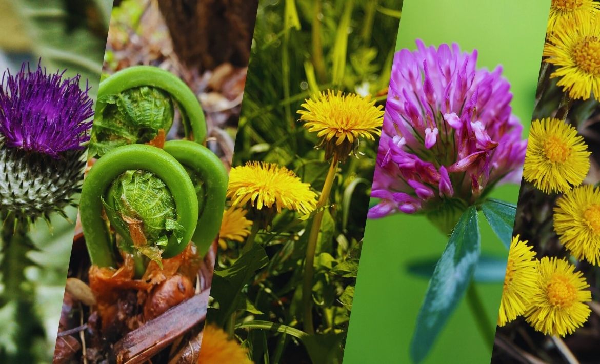 Le printemps, ce grand changement!