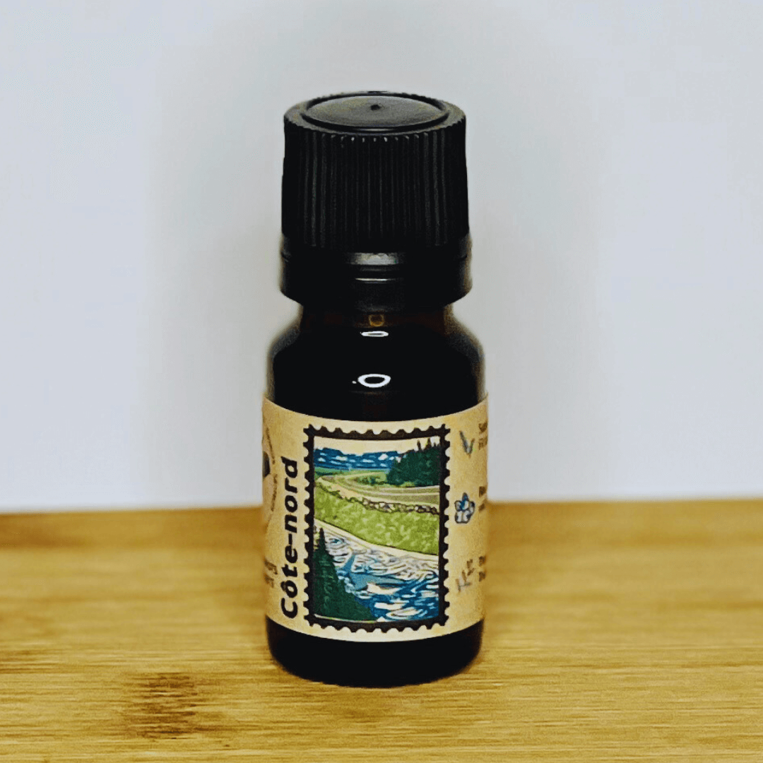 Côte-Nord - Résineux & petits fruits - Huile à diffuser