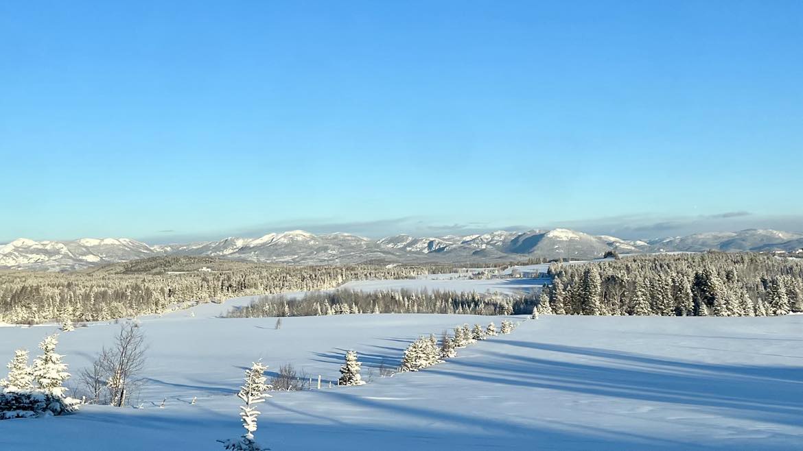 L’hiver, entre ombre et lumière