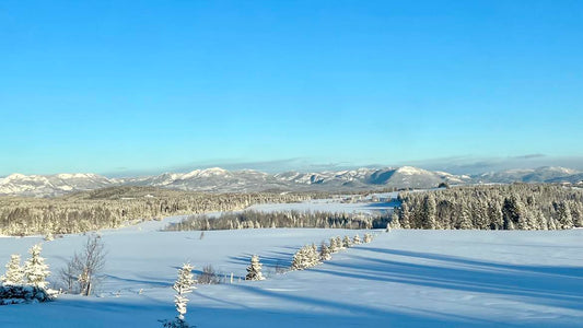 L’hiver, entre ombre et lumière