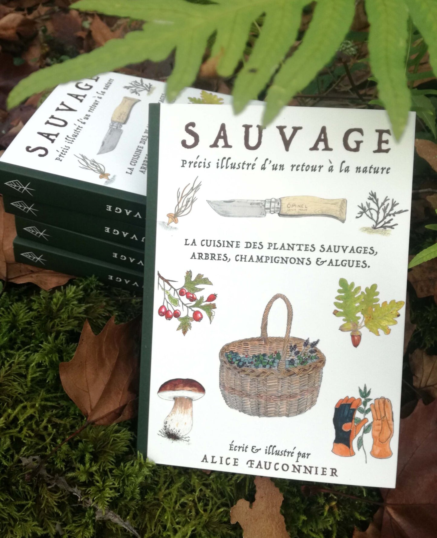 Sauvage - Précis illustré d'un retour à la nature