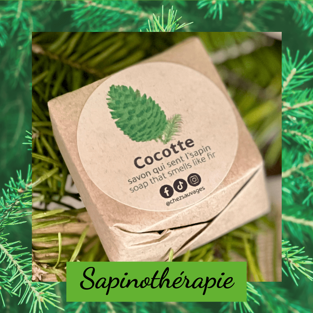 Sapinothérapie - balsam fir gift box - fir for your well-being