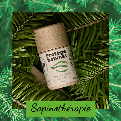 Sapinothérapie - balsam fir gift box - fir for your well-being