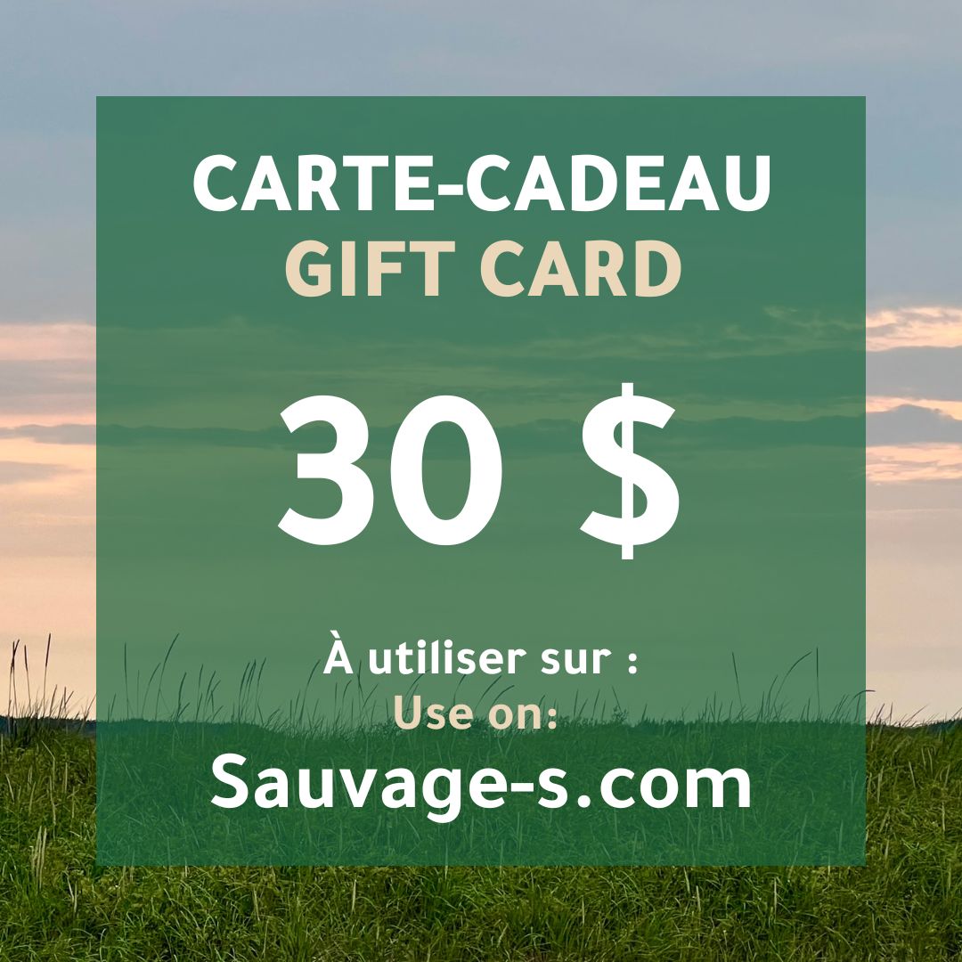Carte - cadeau - Sauvage - s