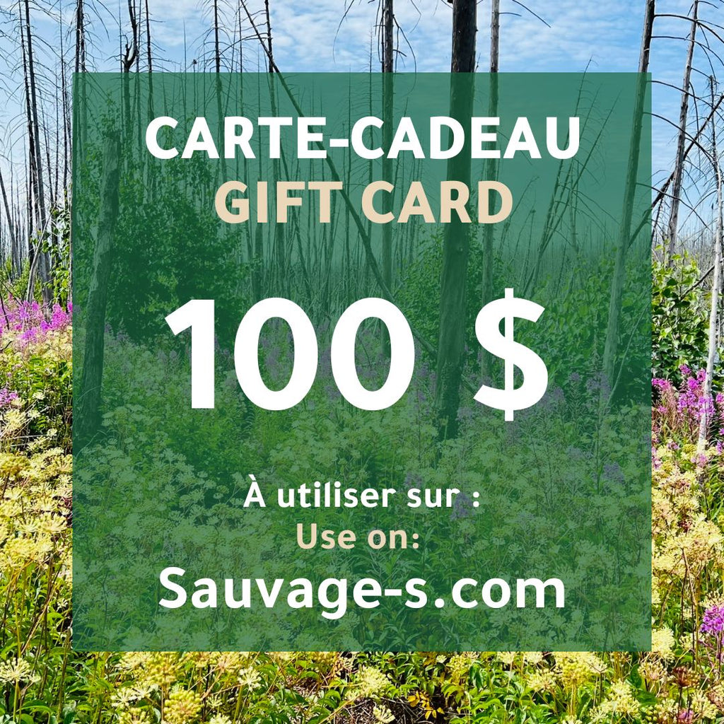 Carte - cadeau - Sauvage - s