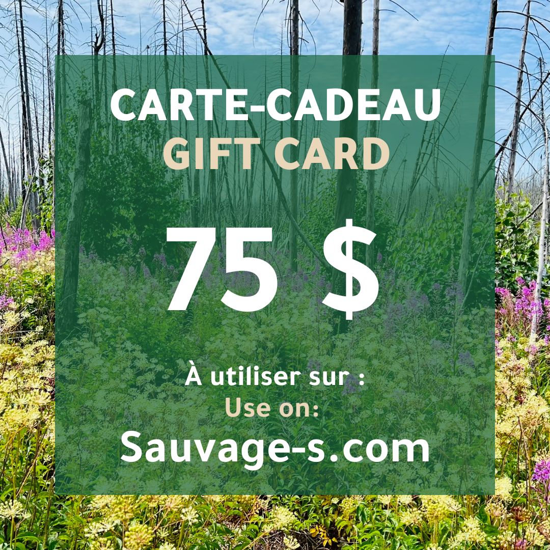 Carte - cadeau - Sauvage - s