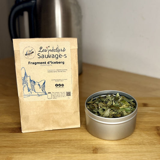 Fragment d'iceberg - Tisane fraîche