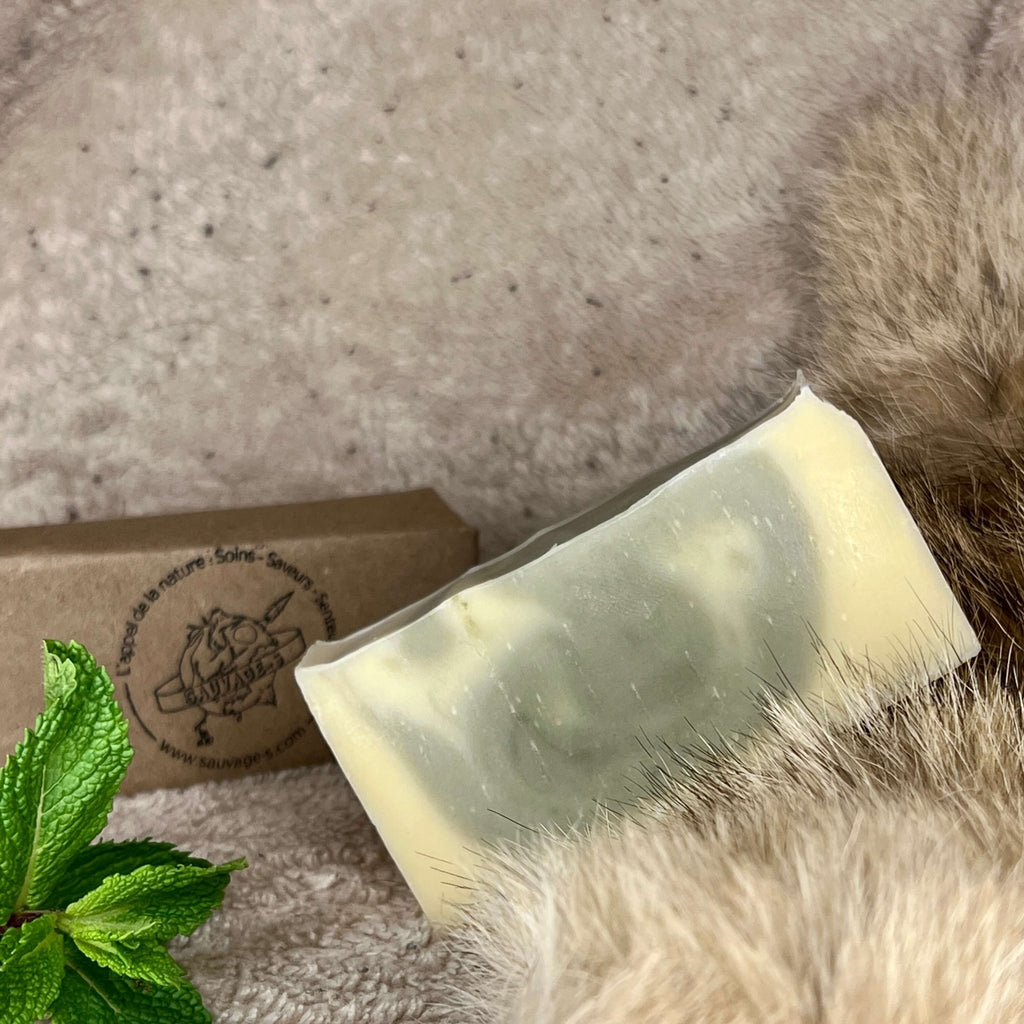 Viking - Savon qui sent la fraîcheur de vivre - Sauvage - s